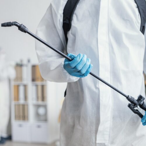 Απολυμάνσεις